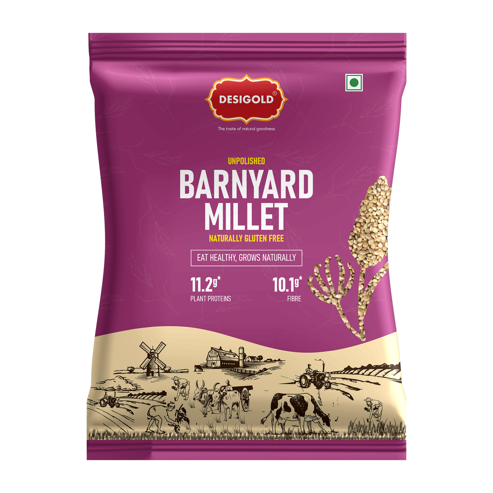 Barnyard Millet Grain
