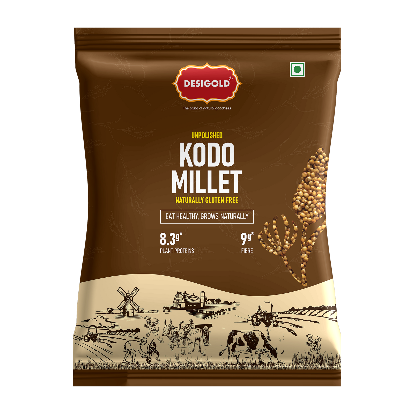 Kodo Millet Grain